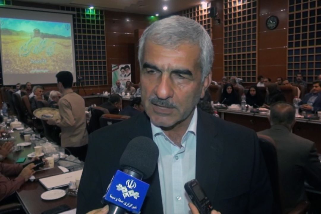 امسال سال خوب تولید گندم