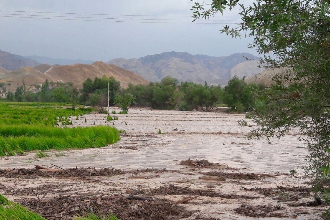 جبران 50 درصد خسارات سیل كشاورزان گلستانی