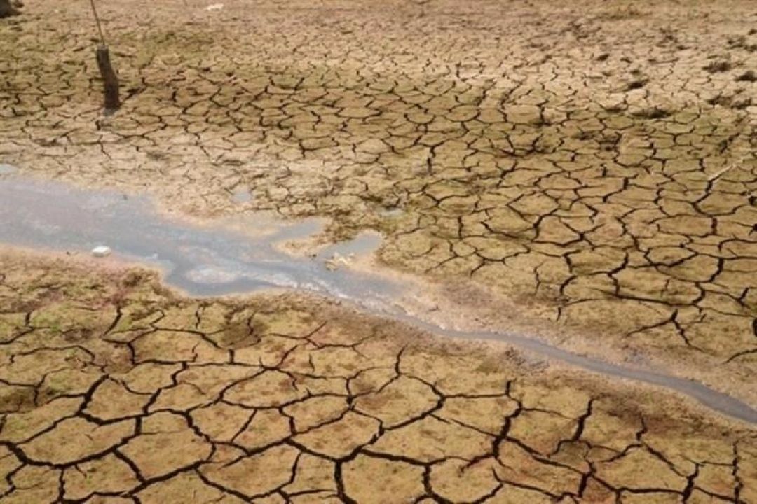دشت های ایران با افت آب زیر زمینی مواجهند