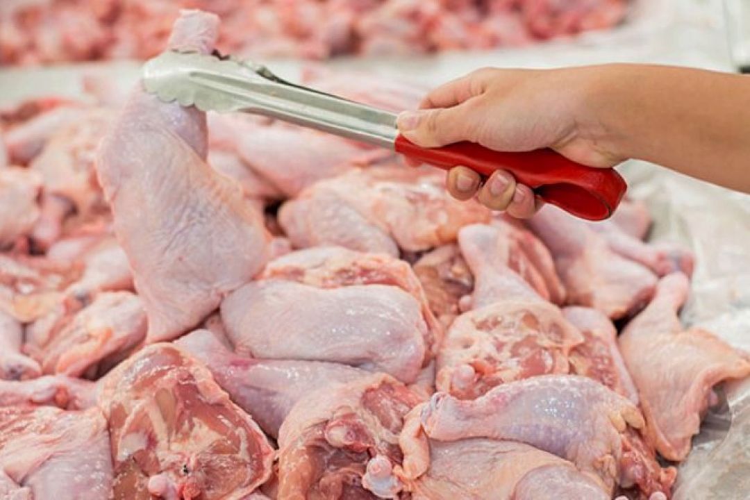 تولید 2.4 میلیون تنی گوشت مرغ در ایران
