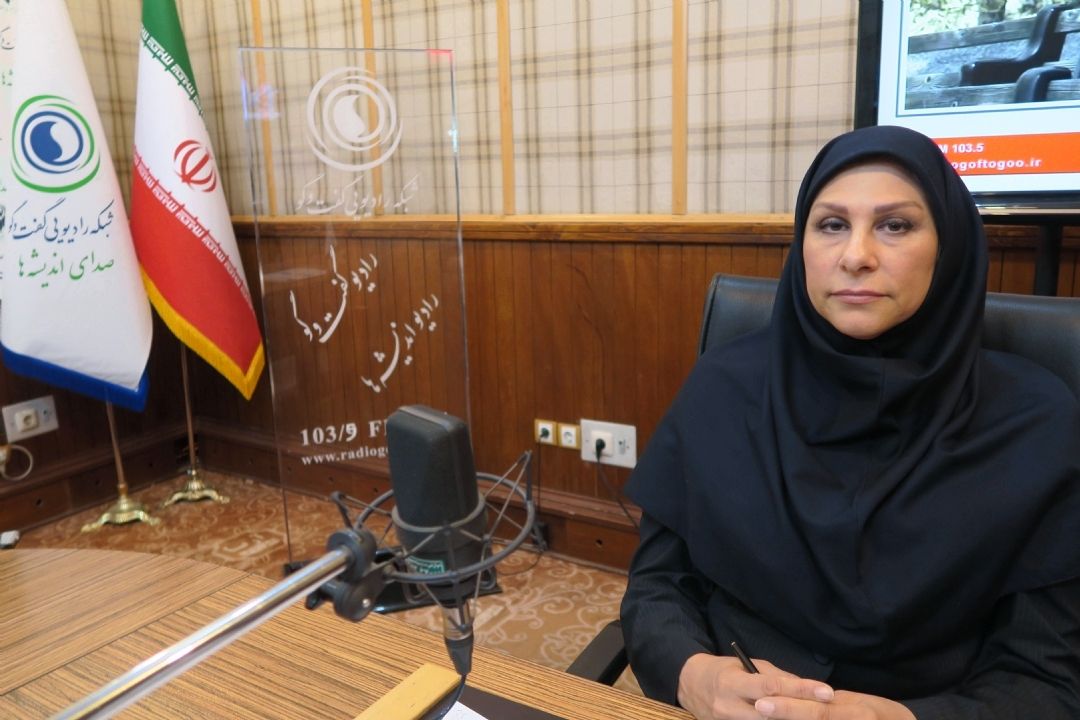 فضای مجازی ایران تاخر فرهنگی دارد