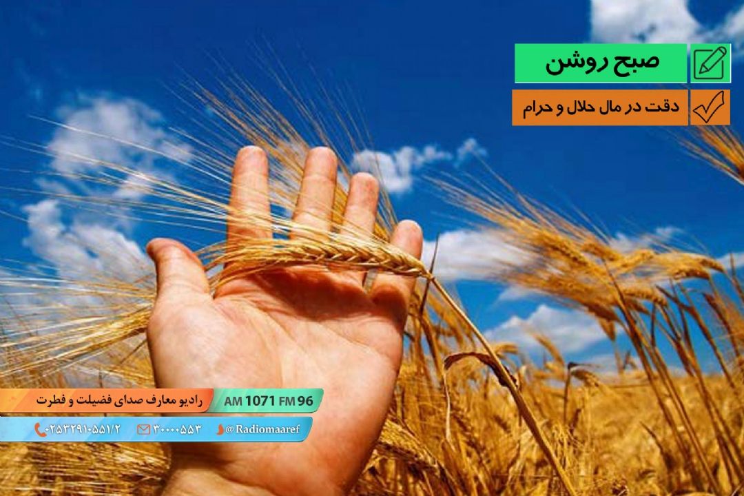 سیره بزرگان - دقت در مال حلال و حرام