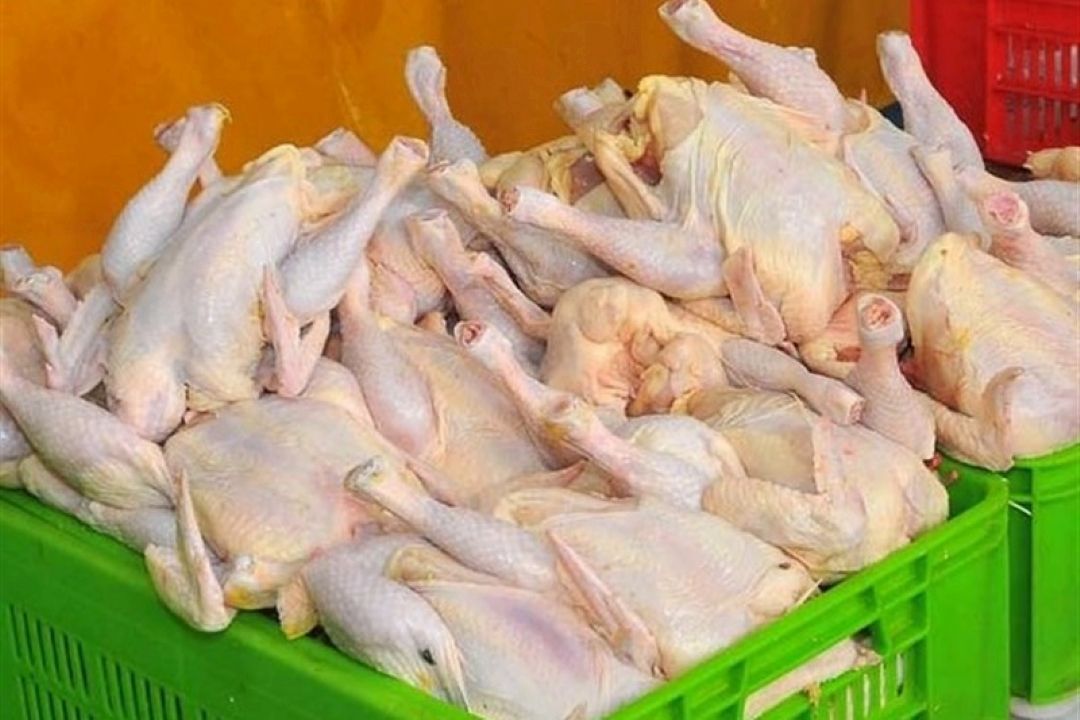 كاهش تولید عامل افزایش قیمت مرغ