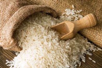 نبود ارز؛ مقصر گرانی برنج ایرانی...