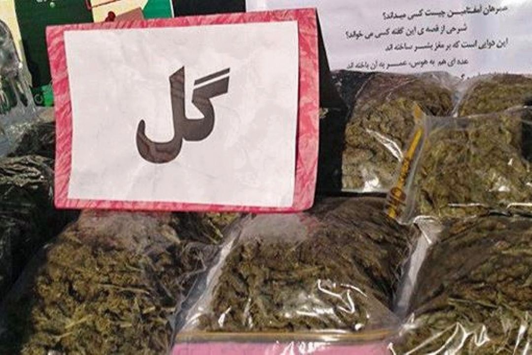 ورود مخدر گل به ایران، مصرف شیشه را كاهش داد