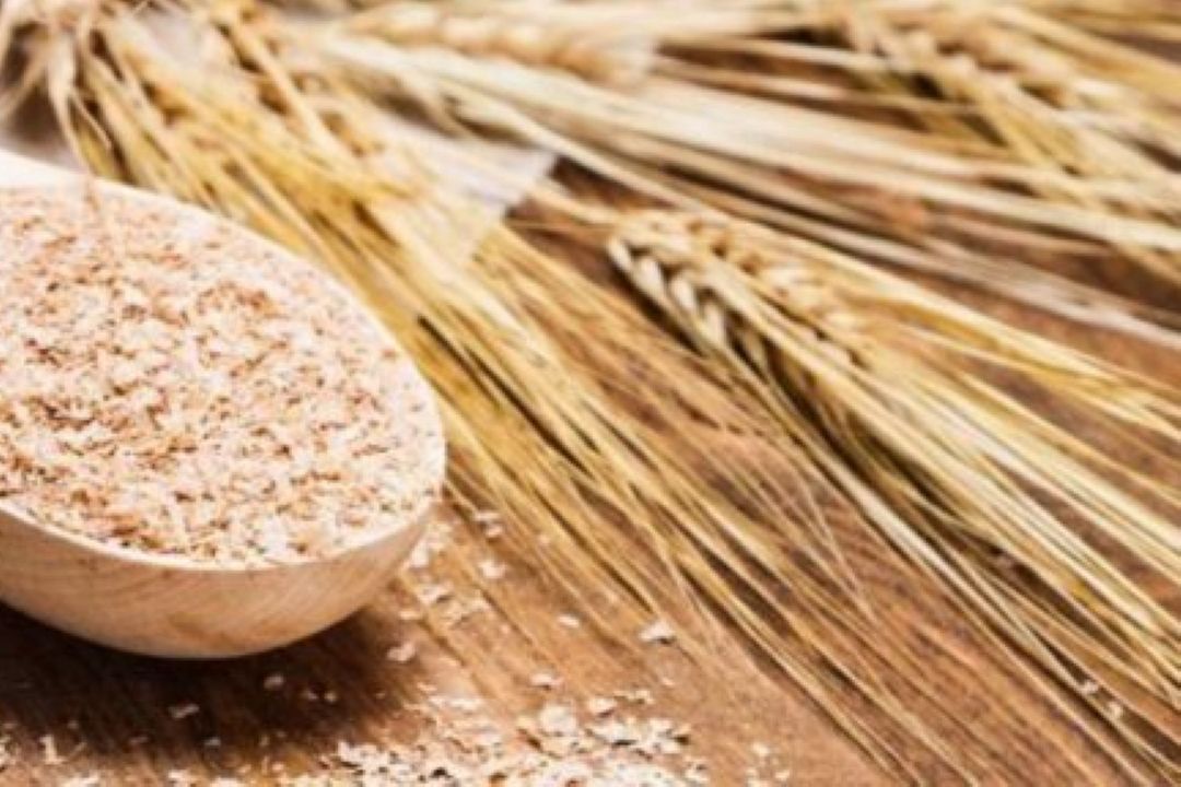 نان بجای سبوس به مصرف دام می رسد