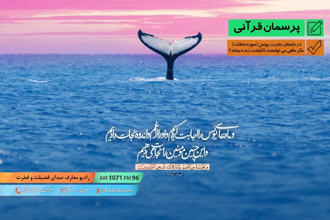 در داستان حضرت یونس (سوره صافات) مگر ماهی می توانست تا قیامت زنده بماند؟