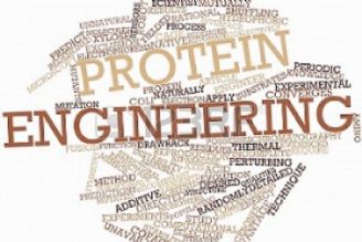 مهندسی پروتئین در ایران یك گام عقب‌تر از سایر مهندسی‌هاست