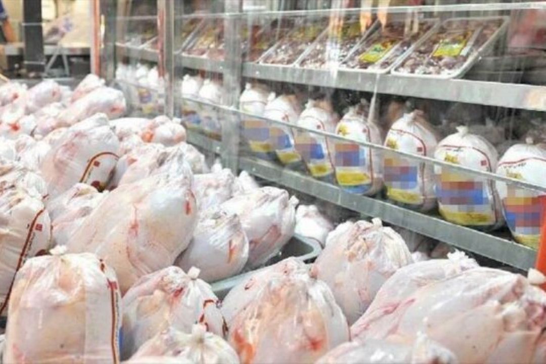 كاهش قیمت مرغ در راه است