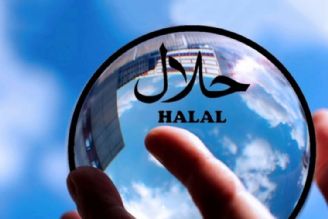 سقوط شش پله ای ایران در گردشگری حلال