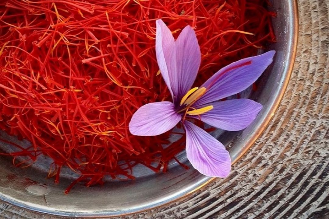 راهبرد بانك مركزی منجربه قاچاق زعفران شده است