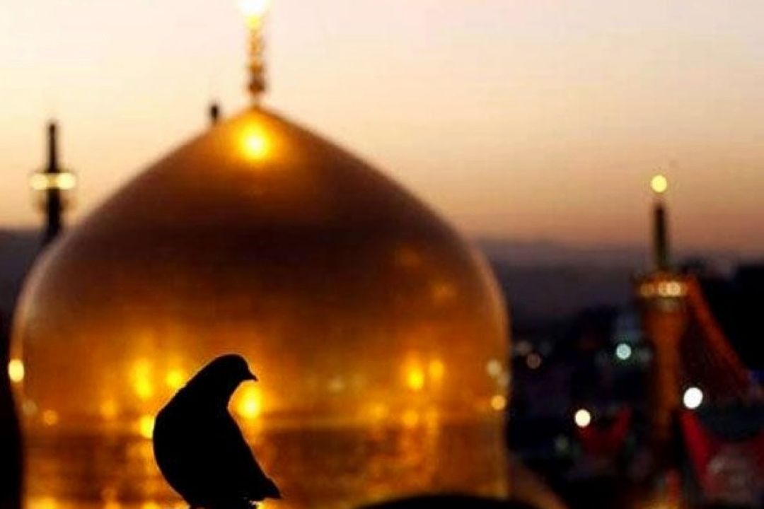 مروری برزندگی امام رضا علیه السلام از تولد تا شهادت