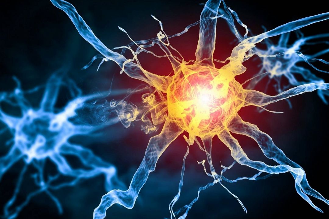 هر آنچه باید درباره «لوپوس» بدانیم/ پروانه قرمز روی پوست نشانه چیست؟