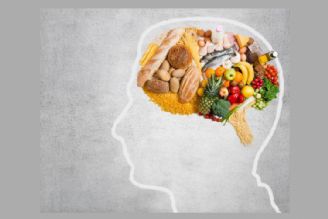 شكلات تلخ و تركیبات نشاسته‌ای، رژیم غذایی موثر برای مغز