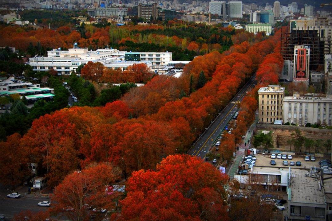 بلند ترین خیابان خاورمیانه جهانی می شود ؟