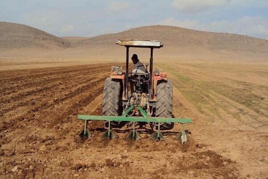  گندمكاران به روحانی نامه نوشتند/گندم وارد نكنید؛ تامین كسری با ما