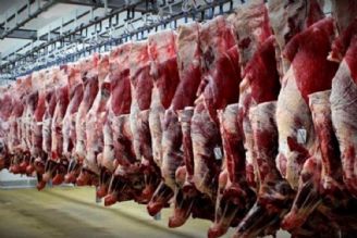 ادامه گرانی گوشت ناشی از كمبود عرضه به بازار است 