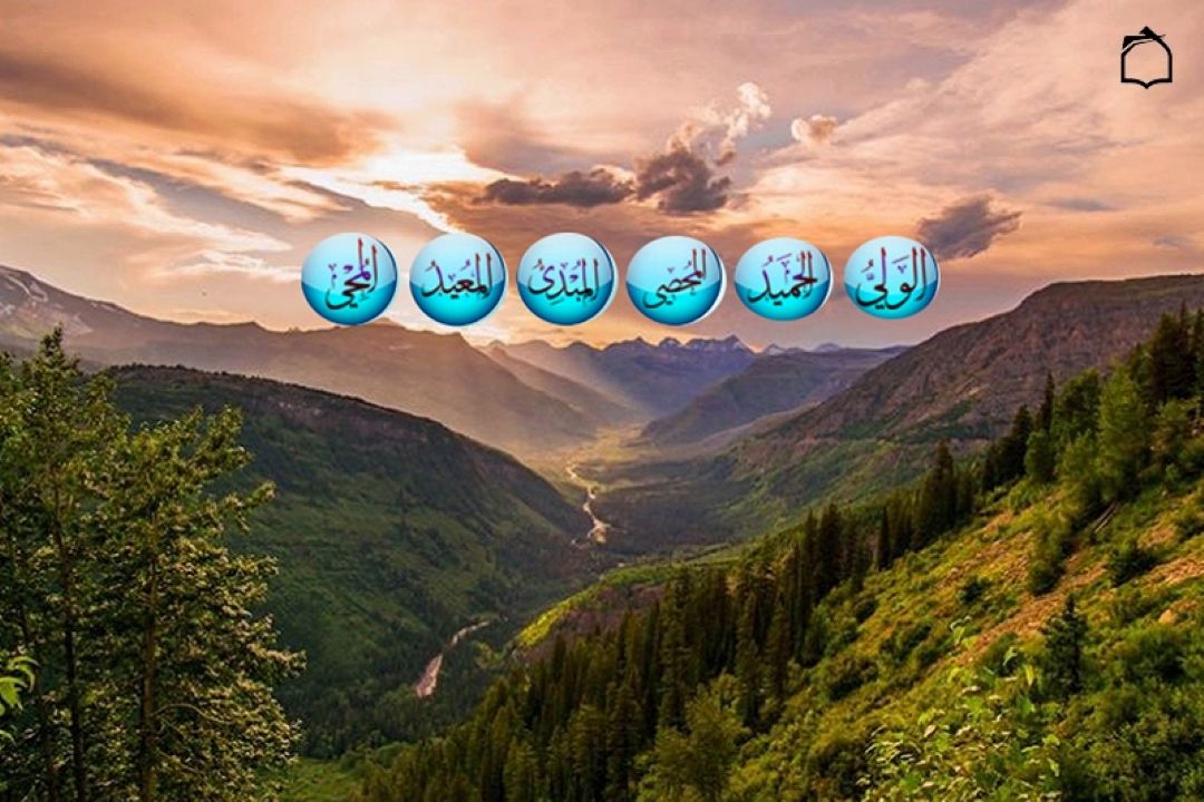 لایق دل