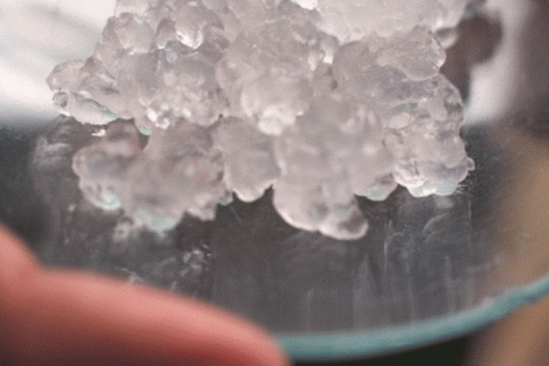 جذب آب بسیار بالا، مهمترین خاصیت نانو سلولز