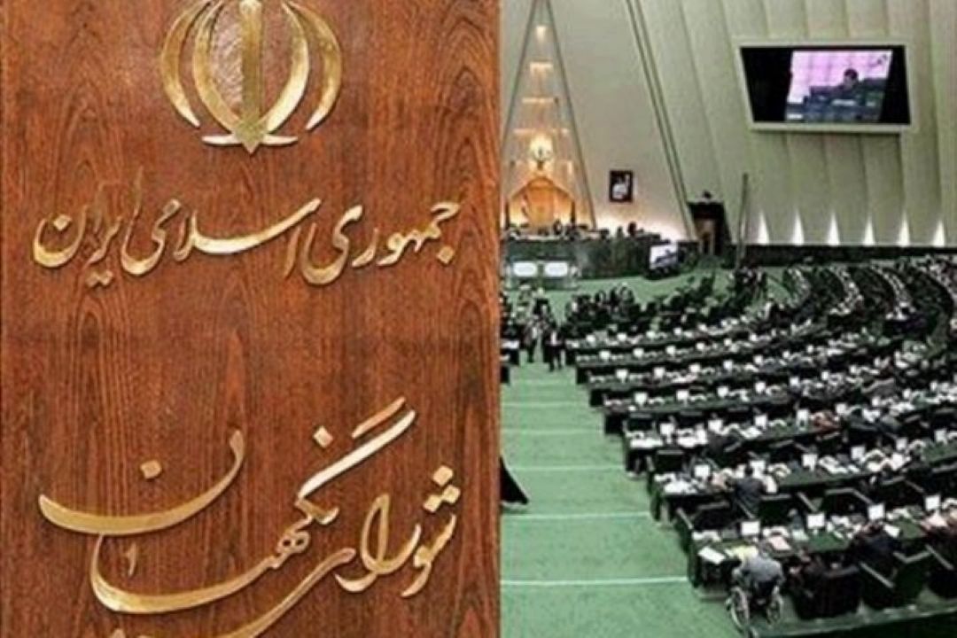 شورای نگهبان مراقب باشد نظام دچار آسیب نشود