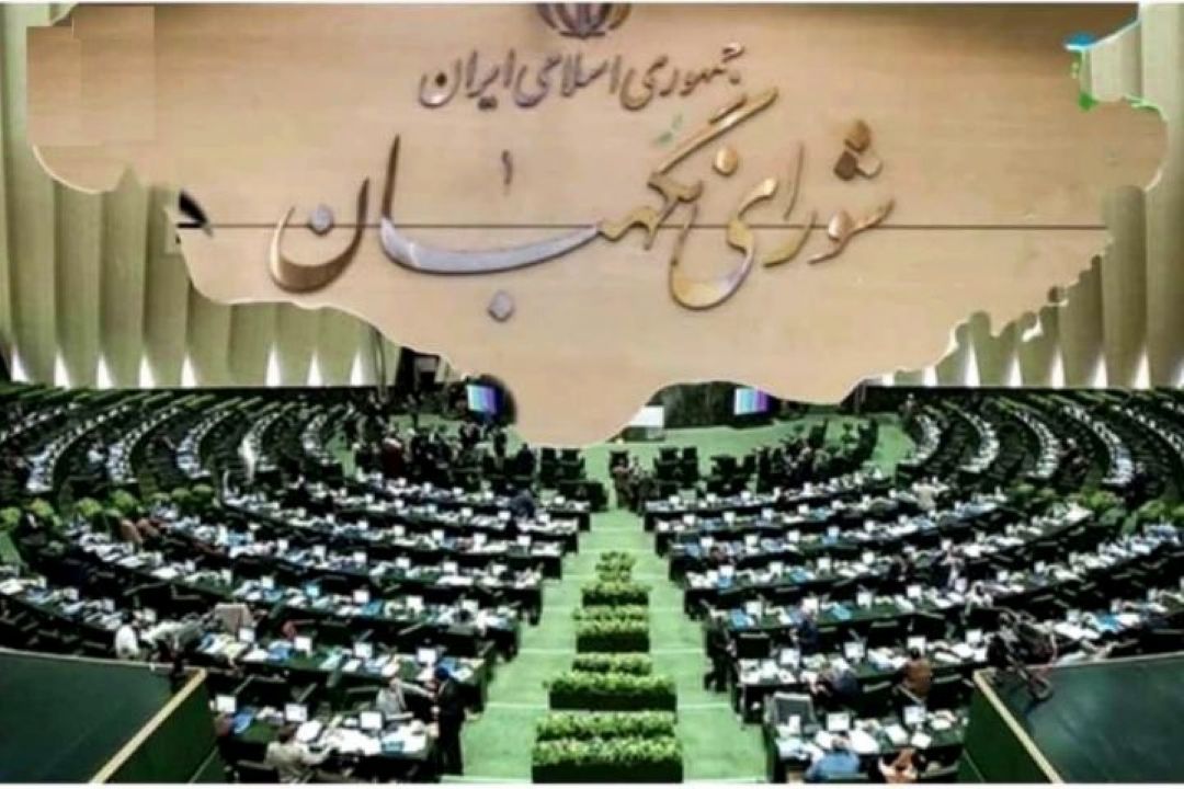 هیچ فشاری بر شورای نگهبان تاثیرگذار نیست