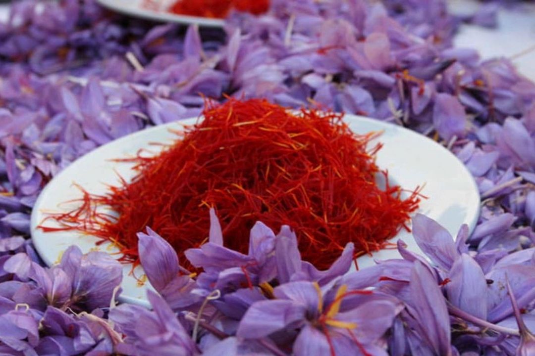 سرانه مصرف زعفران در ایران زیر یك گرم است