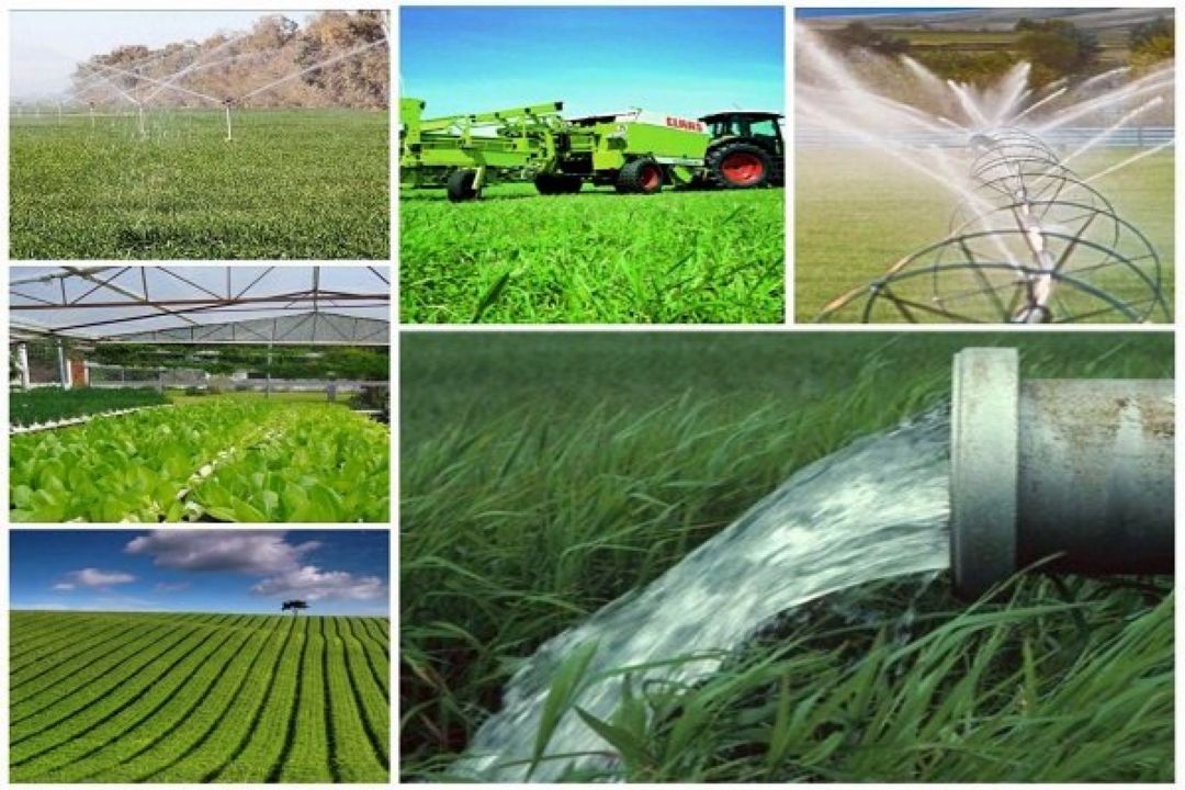 تعامل تعاونی‌ها با دولت در پیشرفت اجرای طرح‌های كشاورزی