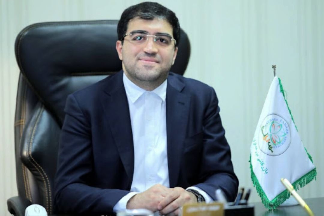 استفاده از بخش خصوصی در دولت به عكس یادگاری ختم شده