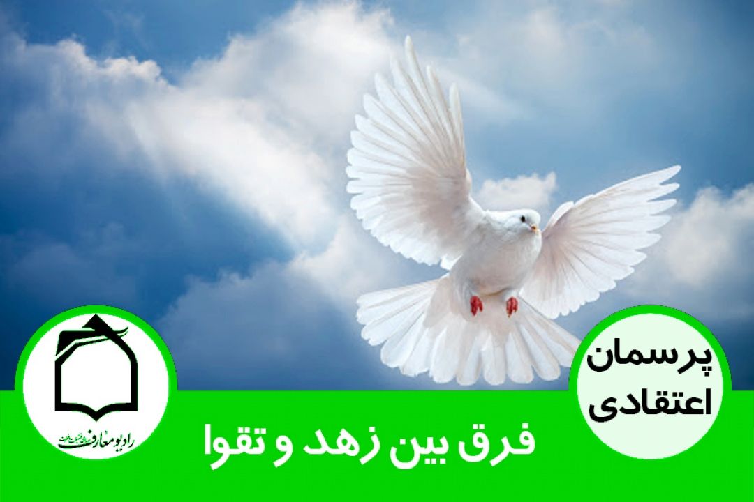 فرق بین زهد و تقوا