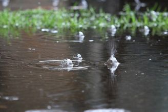 بارش های دو سال اخیر منابع آبی كشور را تامین نكرده است