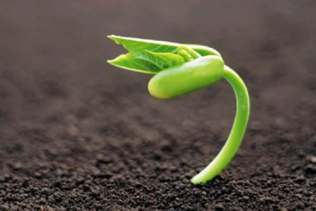 به كارگیری آینده پژوهی در كسب و كار