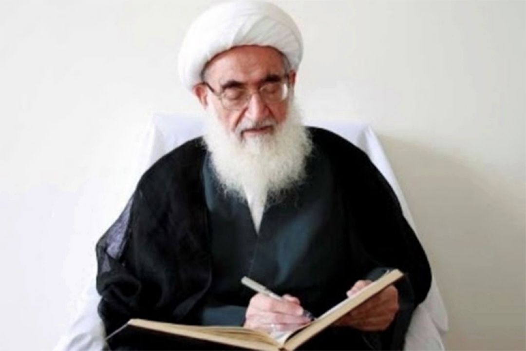 تشكر حضرت آیت‌الله نوری همدانی از كادر پزشكی و روحانیان جهادی 