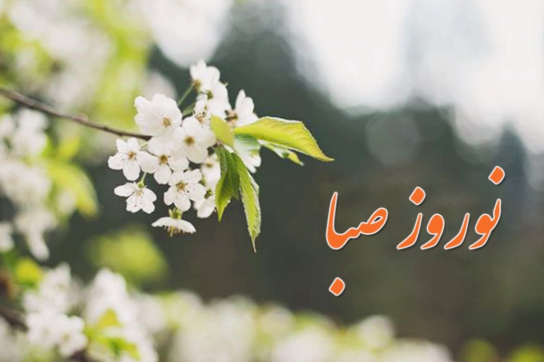لحظه هایی شاد در خانه با «نوروز صبا»