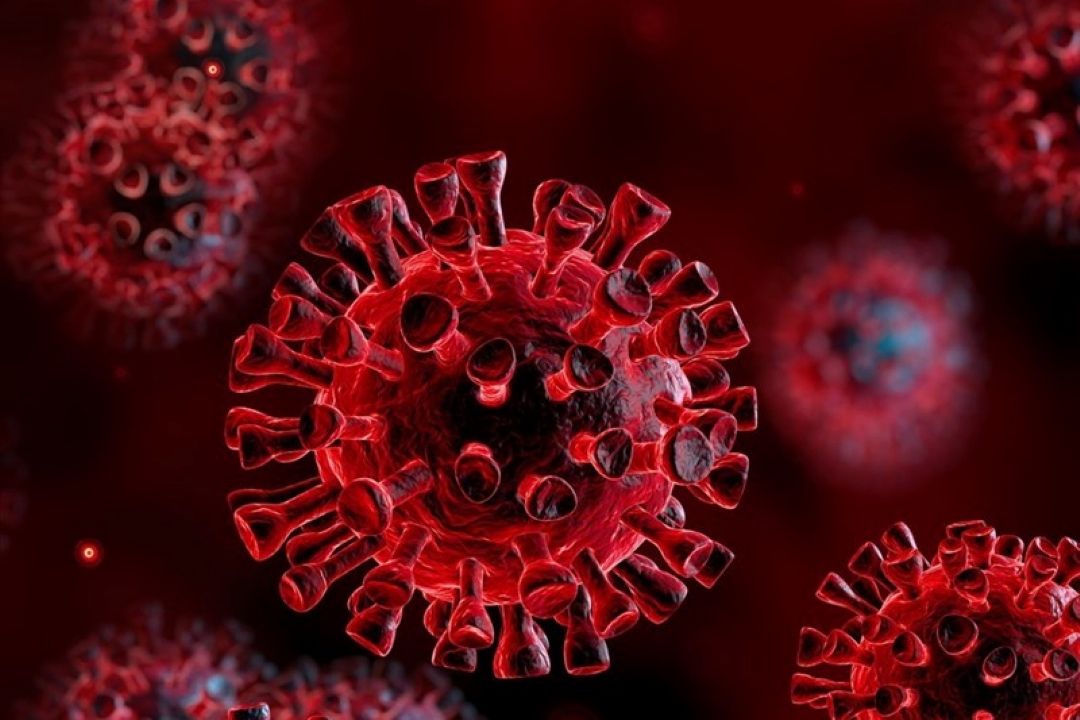 افراد سیگاری و قلیانی در معرض ابتلا به بیماری كوید 19 هستند