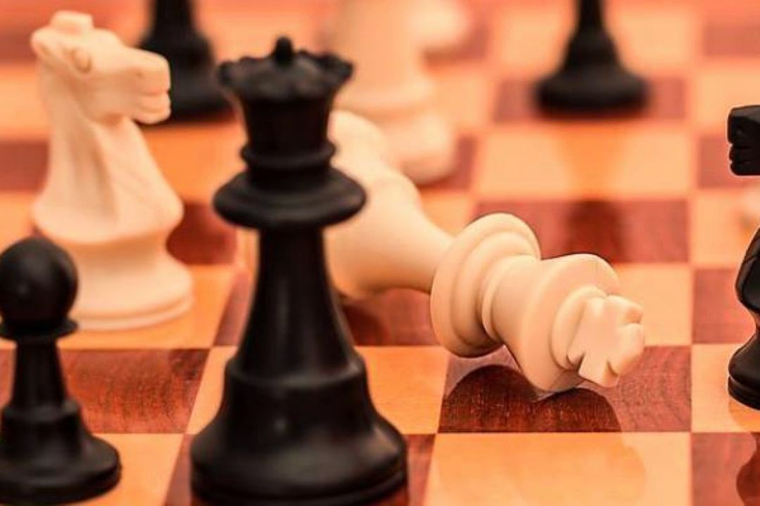 2 انتصاب جدید در فدراسیون شطرنج 