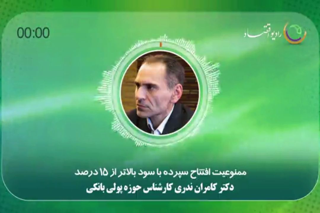 دكتر كامران ندری كارشناس حوزه پولی بانكی
