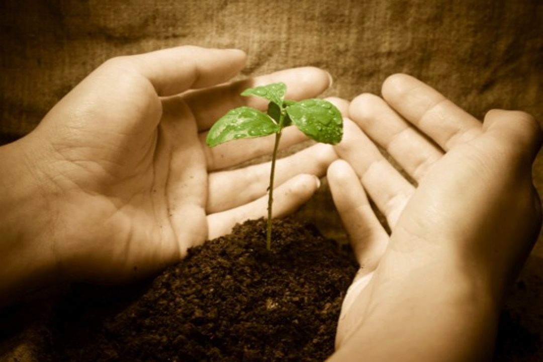  كاهش سن خیرین در جامعه از اهداف كمیته امداد است