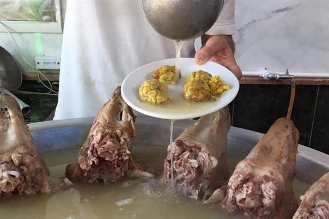 شیوع كرونا و تغییر كاربری طباخی به «داروخانه منصور كله‌پز»!