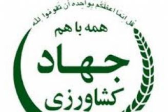 برگزاری هفته نكوداشت جهاد كشاورزی با شعار «كشاورزی، جهش تولید و امنیت غذایی»