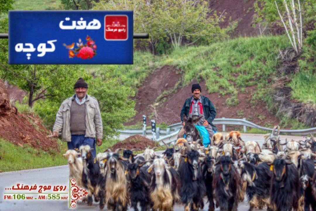  بررسی تأثیر فرهنگ كشاورزی و دامداری بر ضرب المثل های مردم در «هفت كوچه»