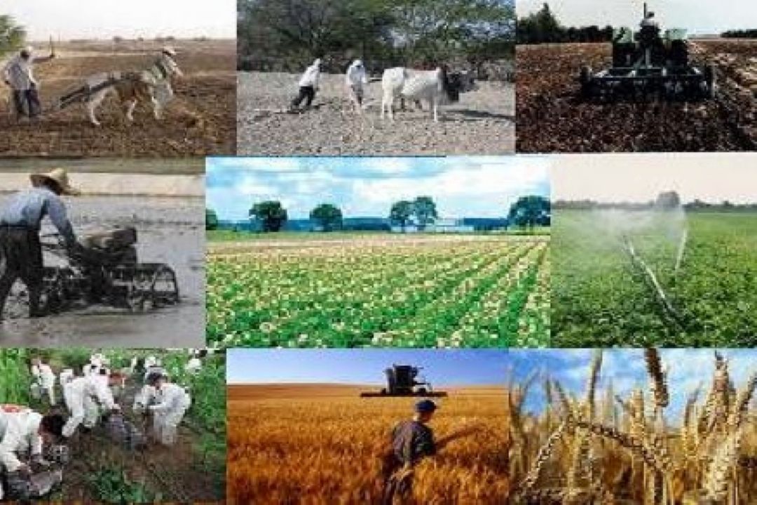 توسعه روستایی مبنای كشاورزی پایدار 