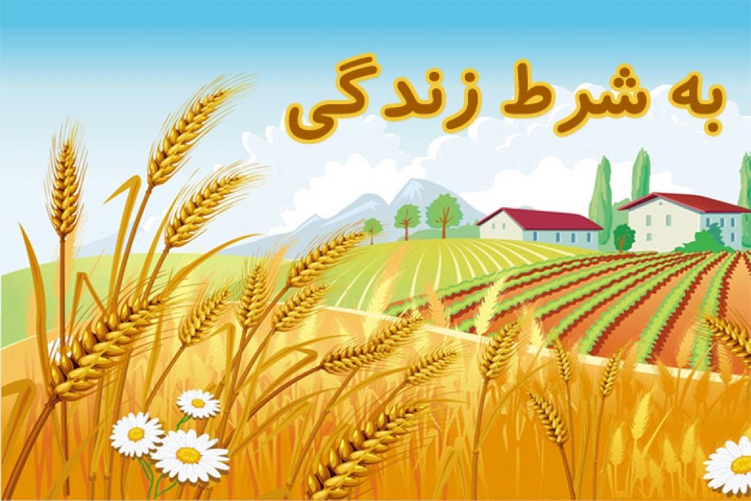 به شرط زندگی