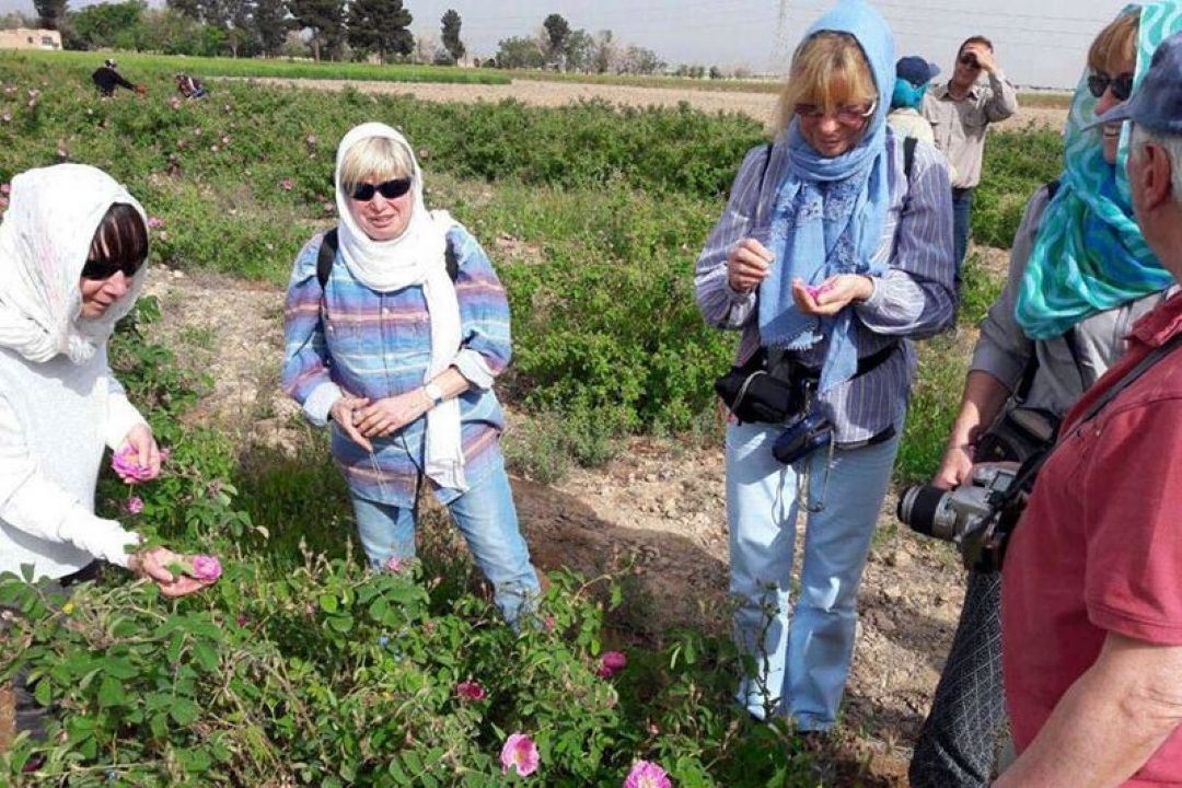 گردشگری كشاورزی ارزش افزوده می آفریند