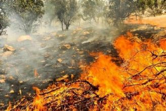 بررسی علت آتش‌سوزی جنگل‌های زاگرس