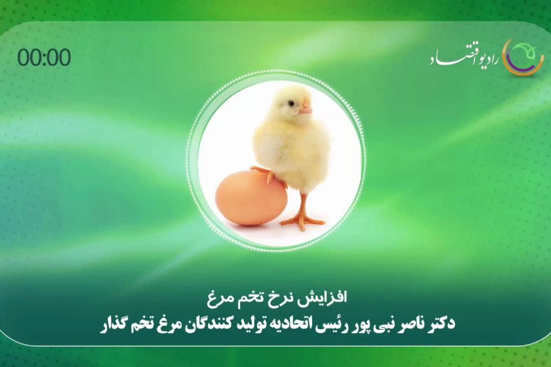 افزایش نرخ تخم مرغ