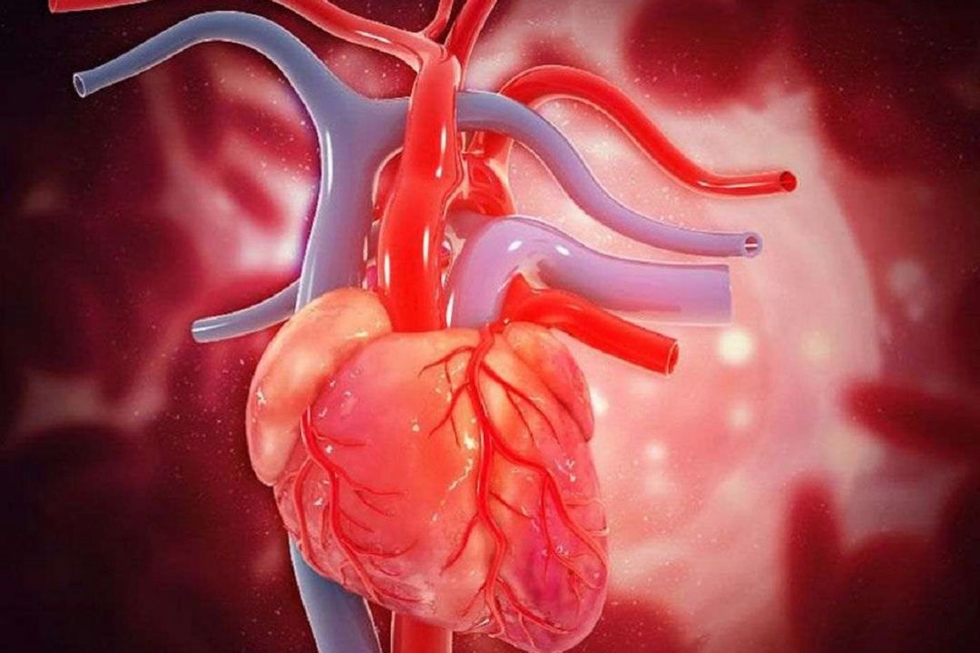 بیماری های قلبی عروقی شایعترین علت مرگ در تمام دنیاست .