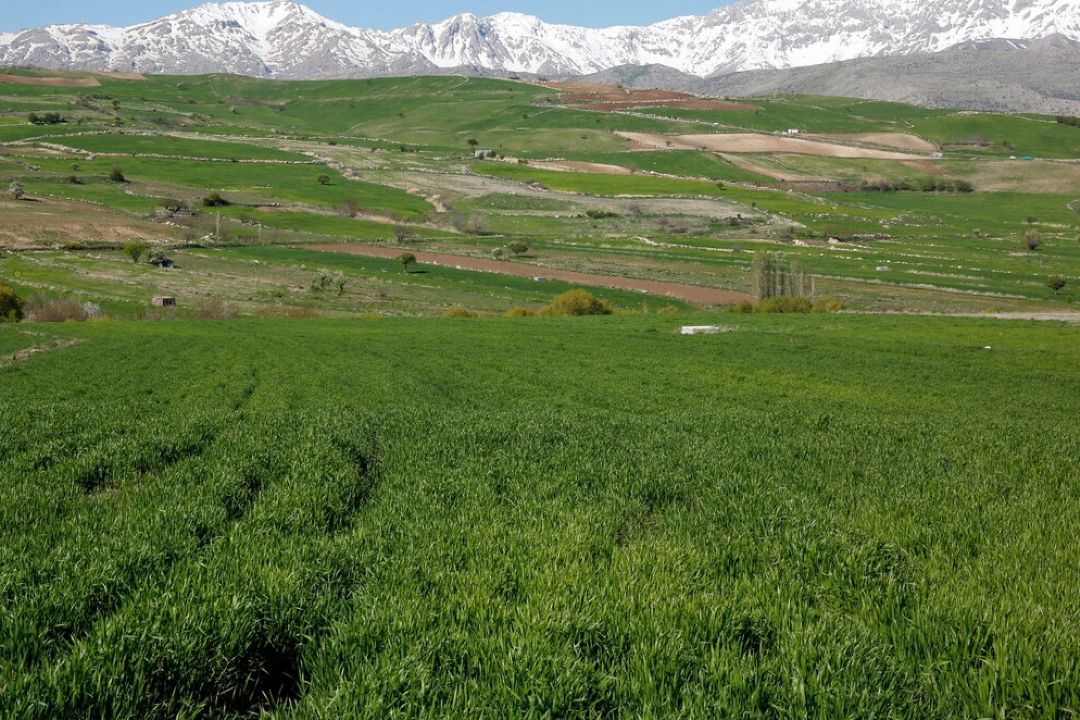 دمای هوا هفته آینده در اكثر نقاط كشور افزایش می‌یابد