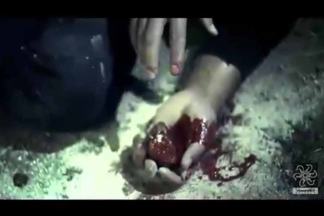نماهنگ | بارون بمب