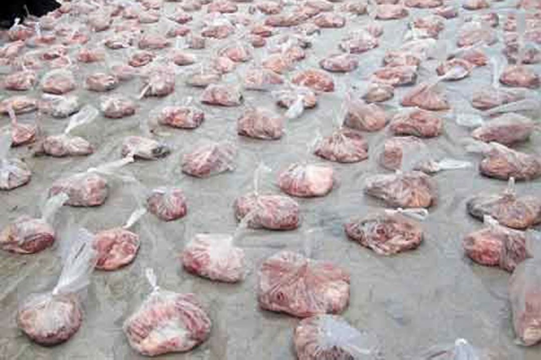 آمادگی بهزیستی برای جمع آوری نذورات خیرین در عید قربان 