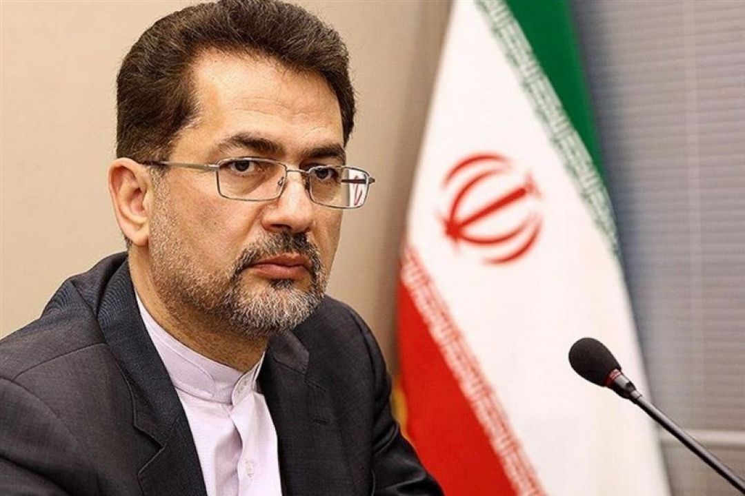 وزیراقتصاد پاسخگوی تخصیص ارز به 